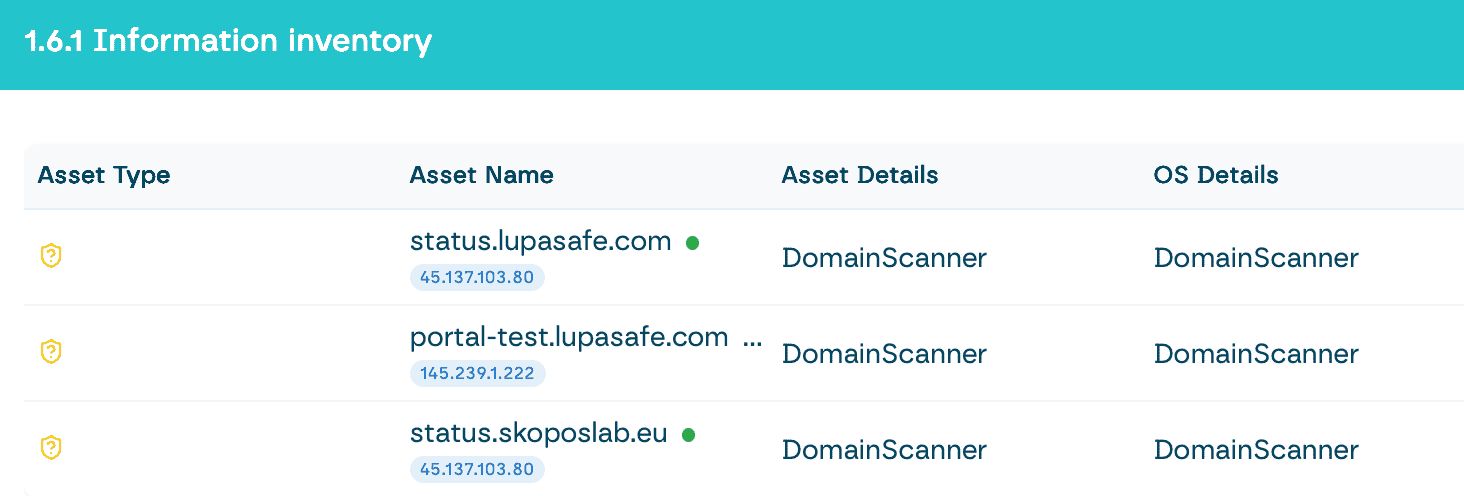 Lupasafe domain scanning — NIS2 asset and vulnerability overview